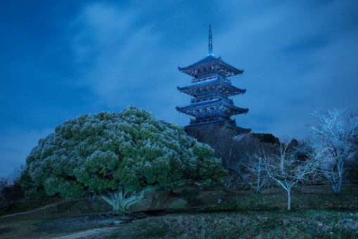 LED Lenser X21R.2 vs Kokubunji Temple