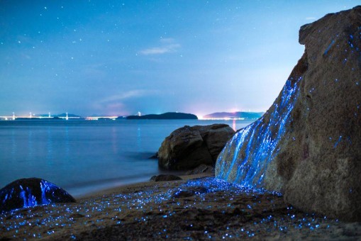 The Weeping Stones