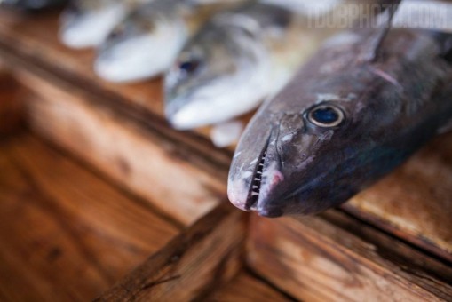 Editorial: Ginoza Fish Market